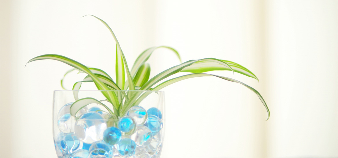 府中市押立町 武蔵野台駅近く 内科 呼吸器内科 小児科